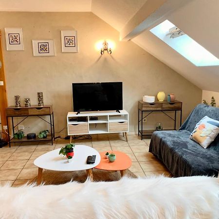 Charmant appart sous toits proche Château des Ducs Chambéry Extérieur photo