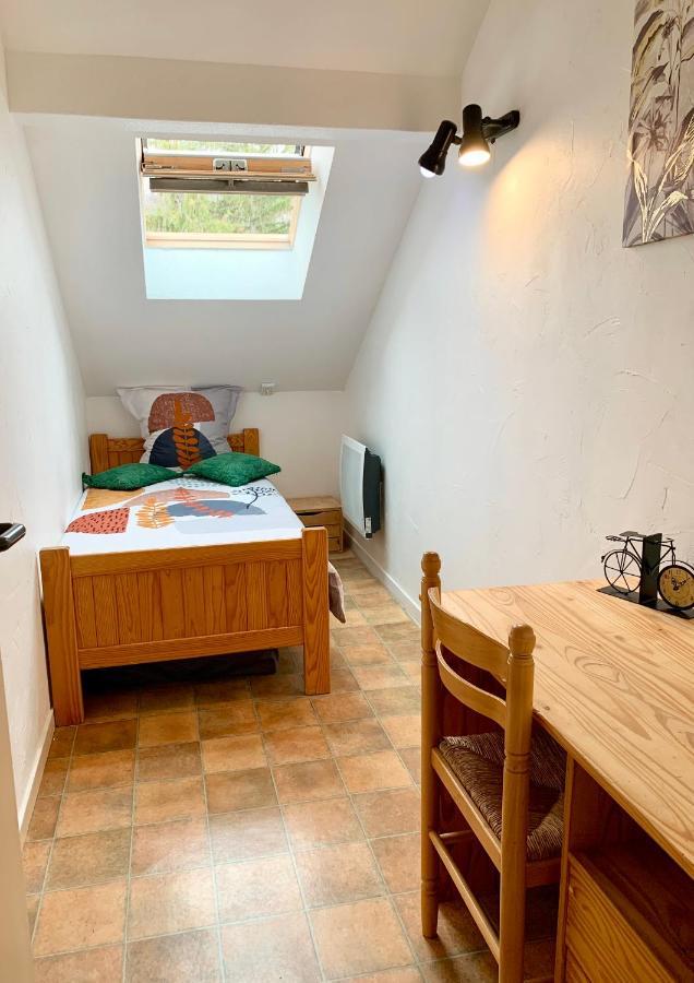 Charmant appart sous toits proche Château des Ducs Chambéry Extérieur photo