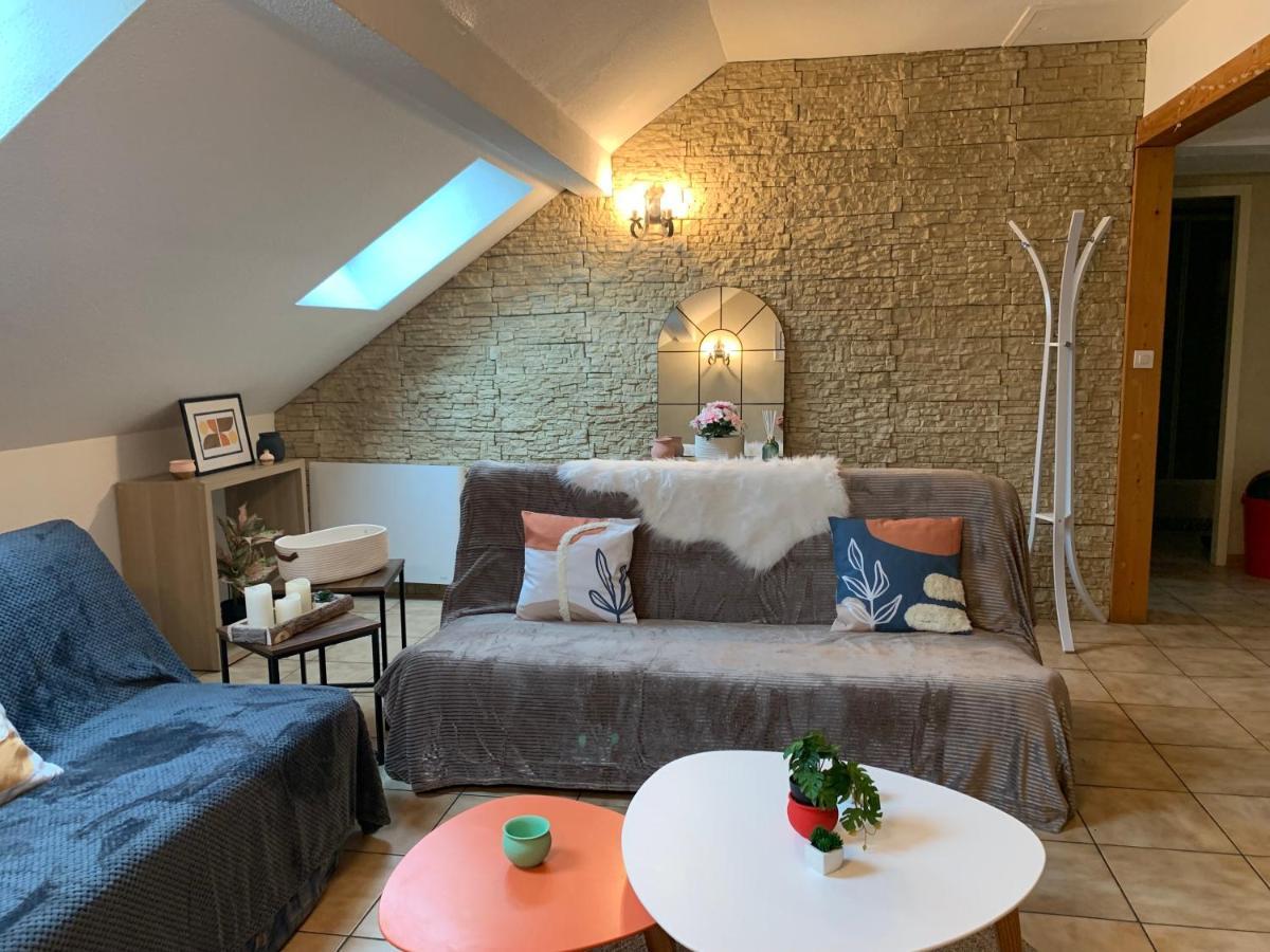 Charmant appart sous toits proche Château des Ducs Chambéry Extérieur photo