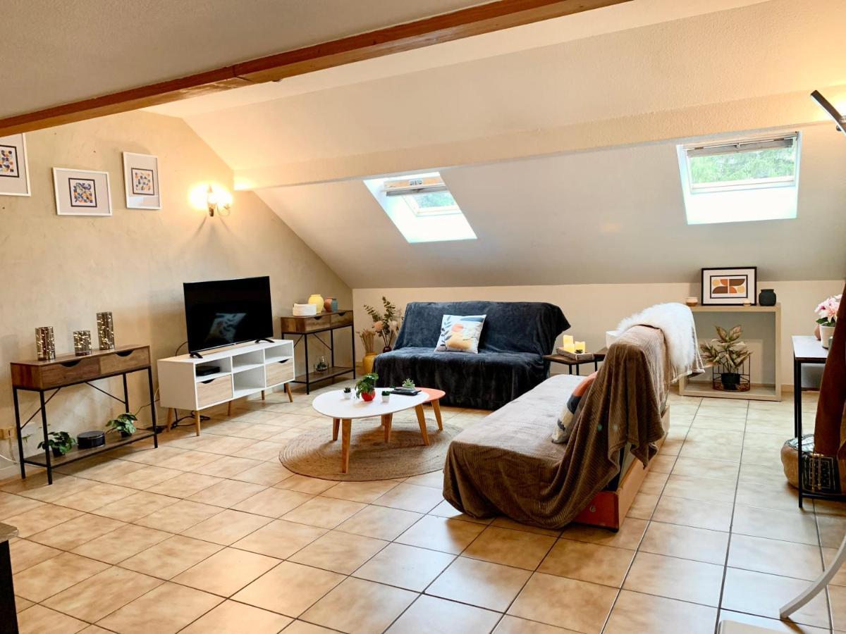 Charmant appart sous toits proche Château des Ducs Chambéry Extérieur photo